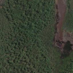 Satellite imagery of Lillies Point, AU
