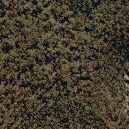 Satellite imagery of Mount Graham, AU