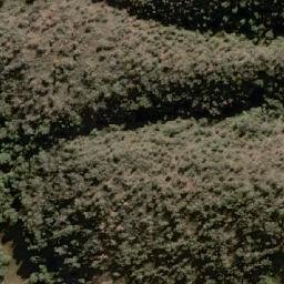 Satellite imagery of Bald Mountain, AU