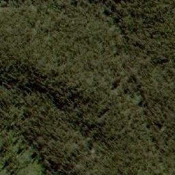 Satellite imagery of Mount Monundilla, AU