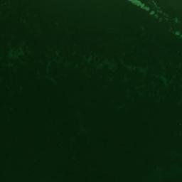 Satellite imagery of Point Gibson, AU