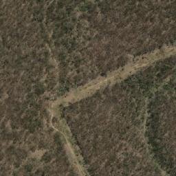Satellite imagery of Black Willow Hill, AU