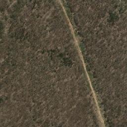 Satellite imagery of Black Willow Hill, AU