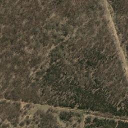 Satellite imagery of Black Willow Hill, AU