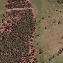 Satellite imagery of Tout Trig, AU
