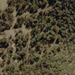 Satellite imagery of Mount Conourury, AU