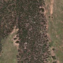 Satellite imagery of Walmer, AU