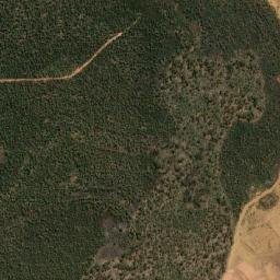Satellite imagery of Mount Saddleback, AU