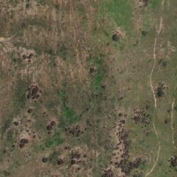 Satellite imagery of Sparrow Hill, AU