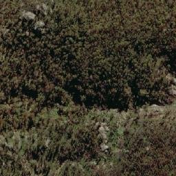 Satellite imagery of Tayan Peak, AU