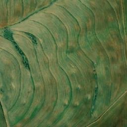 Satellite imagery of BRUGHOOGTE, ZA