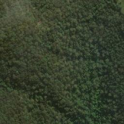 Satellite imagery of Mount Warrawolong, AU