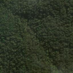 Satellite imagery of Mount Warrawolong, AU