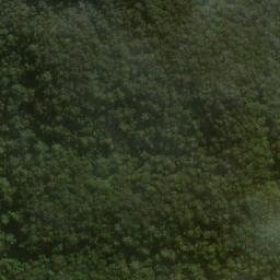 Satellite imagery of Mount Warrawolong, AU