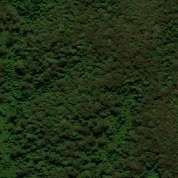 Satellite imagery of Watagan Mountains, AU