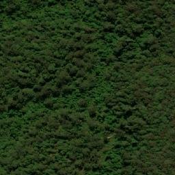Satellite imagery of Watagan Mountains, AU