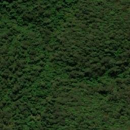 Satellite imagery of Watagan Mountains, AU