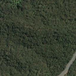 Satellite imagery of Cams Point, AU
