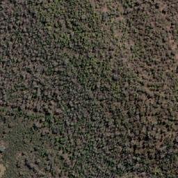 Satellite imagery of Cookamidgera, AU