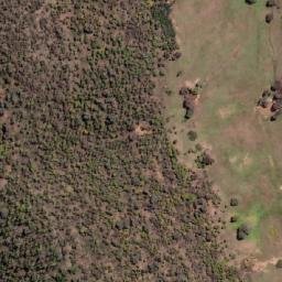 Satellite imagery of Cookamidgera, AU
