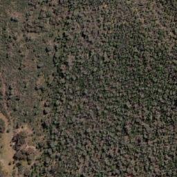 Satellite imagery of Cookamidgera, AU