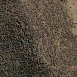 Satellite imagery of Cookamidgera, AU