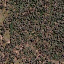 Satellite imagery of Cookamidgera, AU