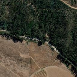 Satellite imagery of Cerro Los Padrones, CL