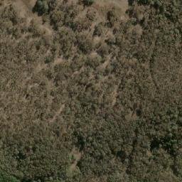 Satellite imagery of Trappits Bald Hill, AU