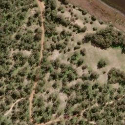 Satellite imagery of Waterloo Head, AU