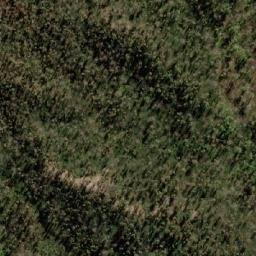 Satellite imagery of Mount Davidson, AU