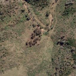 Satellite imagery of Wallaby Rocks, AU