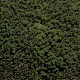 Satellite imagery of Mount Cameron, AU