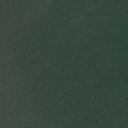 Satellite imagery of Boya Punta Caballos, AR