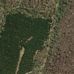 Satellite imagery of Bald Hill, AU