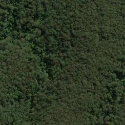 Satellite imagery of Boyds Point, AU
