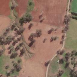 Satellite imagery of Paling Yards Public School, AU