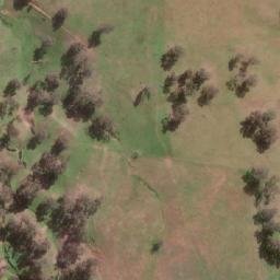 Satellite imagery of Paling Yards Public School, AU