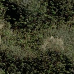 Satellite imagery of Young Man Canobola, AU