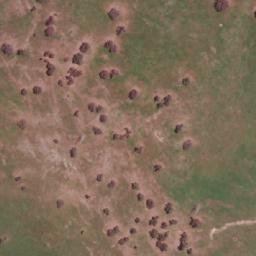 Satellite imagery of Nobbys Hill, AU