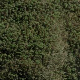 Satellite imagery of Gum Ridge, AU
