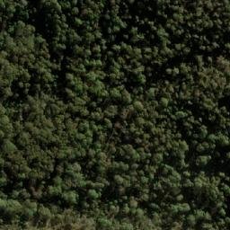 Satellite imagery of Gum Ridge, AU