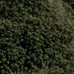Satellite imagery of Gum Ridge, AU