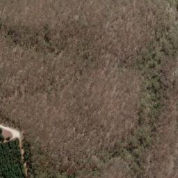 Satellite imagery of Paddys Mount, AU