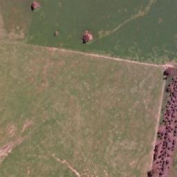 Satellite imagery of Bonnie Dell Public School, AU