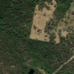 Satellite imagery of Myoora, AU