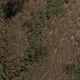 Satellite imagery of Ovens South Trig Station, AU