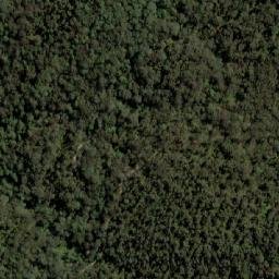 Satellite imagery of survey_point, AU