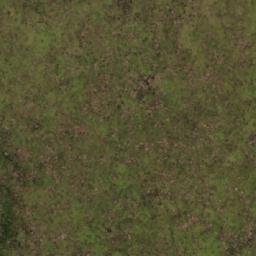 Satellite imagery of Alto Blanco, AR