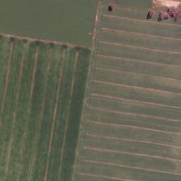 Satellite imagery of Trajere Public School, AU